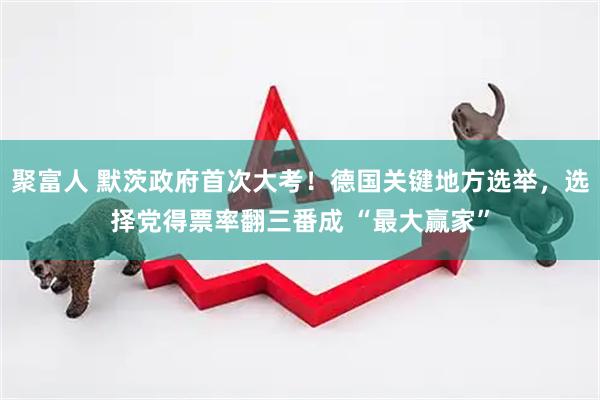 聚富人 默茨政府首次大考！德国关键地方选举，选择党得票率翻三番成 “最大赢家”