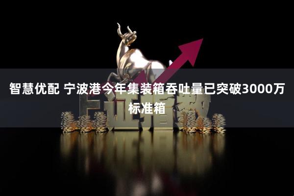 智慧优配 宁波港今年集装箱吞吐量已突破3000万标准箱