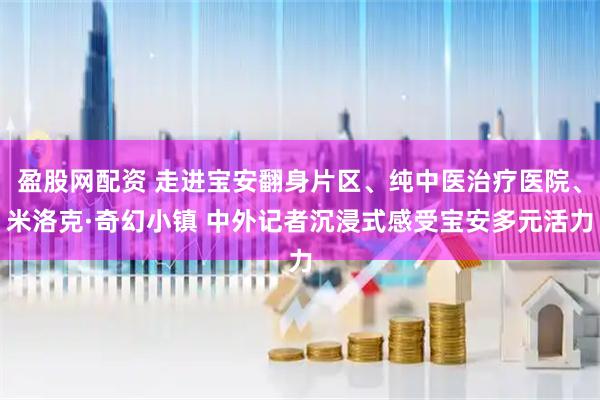 盈股网配资 走进宝安翻身片区、纯中医治疗医院、米洛克·奇幻小镇 中外记者沉浸式感受宝安多元活力