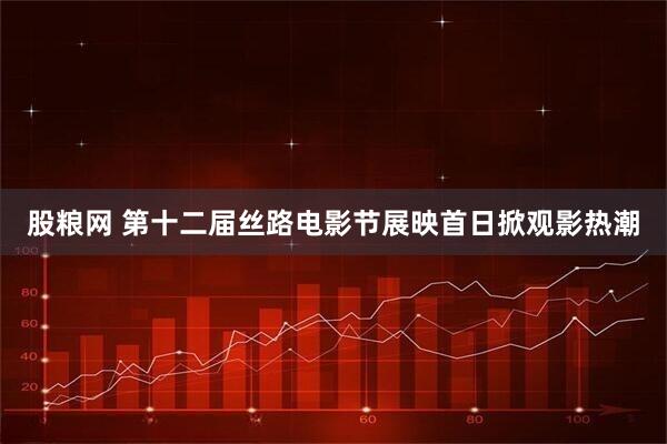 股粮网 第十二届丝路电影节展映首日掀观影热潮