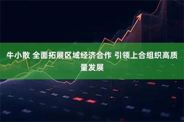 牛小散 全面拓展区域经济合作 引领上合组织高质量发展