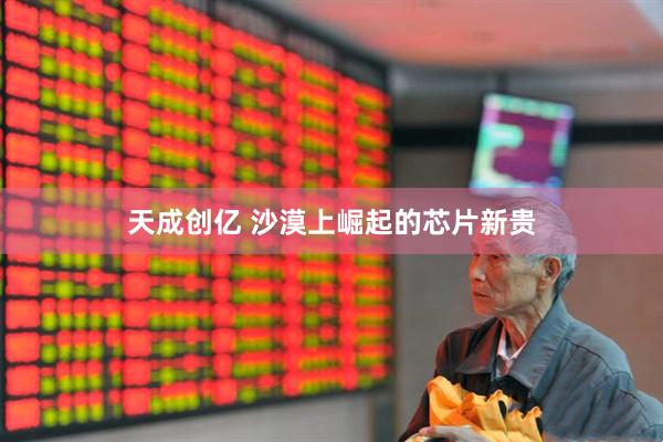 天成创亿 沙漠上崛起的芯片新贵