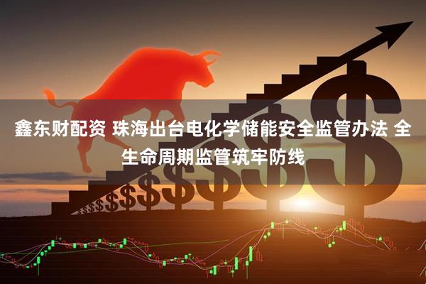 鑫东财配资 珠海出台电化学储能安全监管办法 全生命周期监管筑牢防线