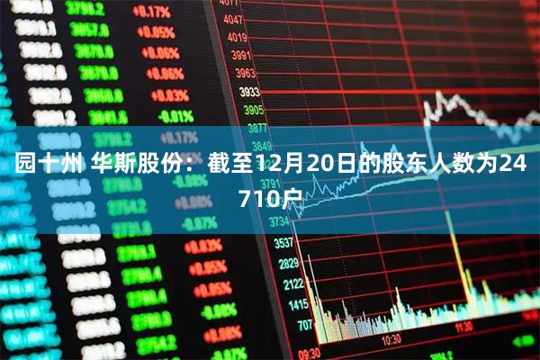 园十州 华斯股份：截至12月20日的股东人数为24710户