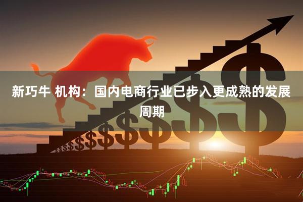 新巧牛 机构：国内电商行业已步入更成熟的发展周期